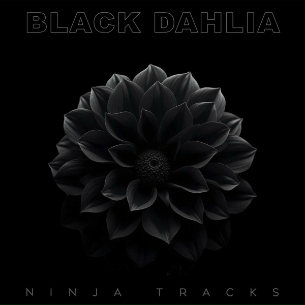 Обложка: NINJA TRACKS - Velvet Shadows