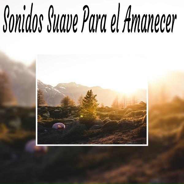 Обложка: Sonidos Suaves - Terapia de Sonido
