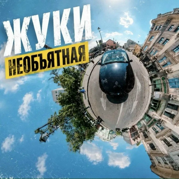 Обложка: Жуки - Необъятная