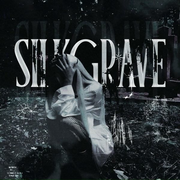 Обложка: DJ Anemia, DVRKLXGHT, Iwilldiehere - silkgrave