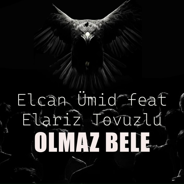 Обложка: Elcan Ümid feat. Elariz Tovuzlu - Olmaz Bele