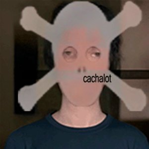 Обложка: ONDA ANDAR - cachalot