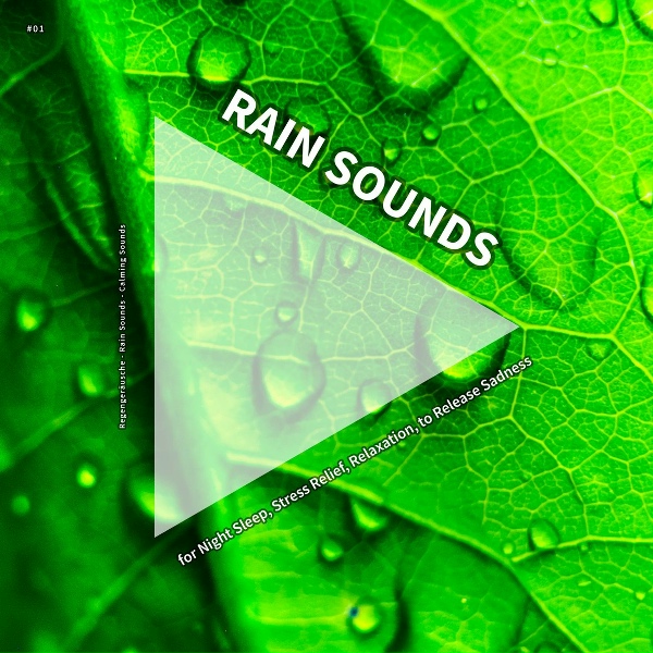 Обложка: Regengeräusche, Rain Sounds, Calming Sounds - Indian Meditation