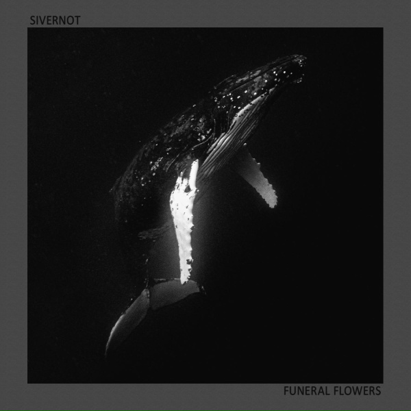 Обложка: SIVERNOT - Мать-земля