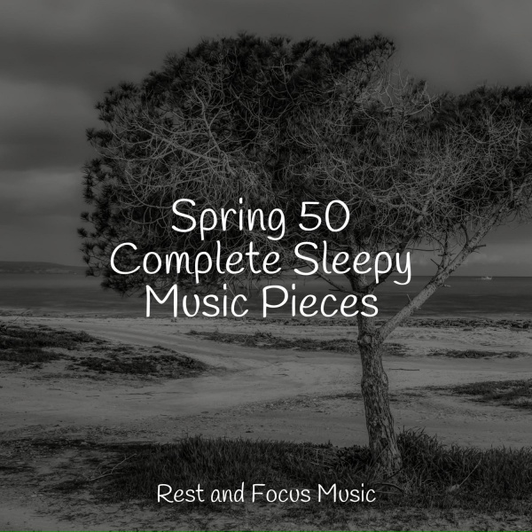 Обложка: Bath Spa Relaxing Music Zone, Classical Lullabies, Sleeping Music - Soul Sleeps
