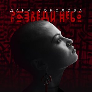Обложка: Дана Соколова - Разведи небо