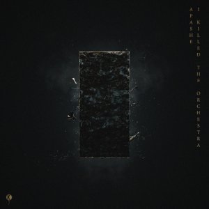 Обложка: Apashe, Alina Pash - Witch