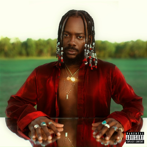 Обложка: Adekunle Gold - Something Different