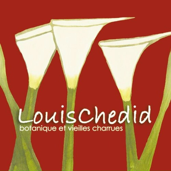 Обложка: Louis Chedid - L'enfant qui joue au ballon