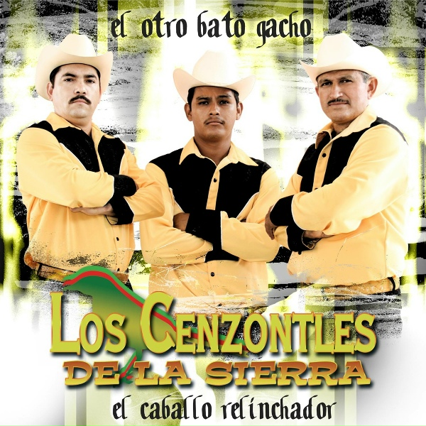 Обложка: Los Cenzontles De La Sierra - Corrido de Los Amigos