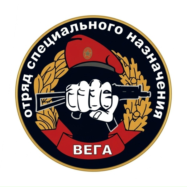 Обложка: Алексей Аксёненко - Отряд Вега
