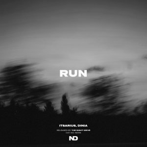 Обложка: ItsArius, Dinia - Run
