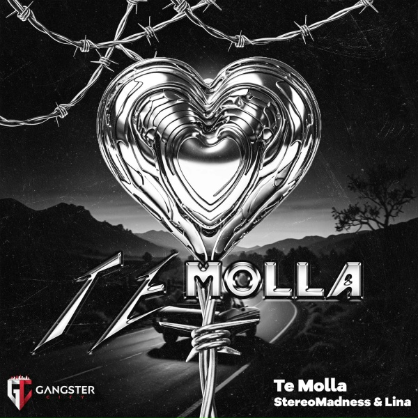 Обложка: StereoMadness, Lina - Te Molla