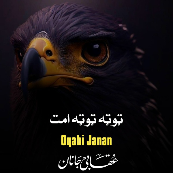Обложка: Oqabi Janan - اسلامي نظام لپاره