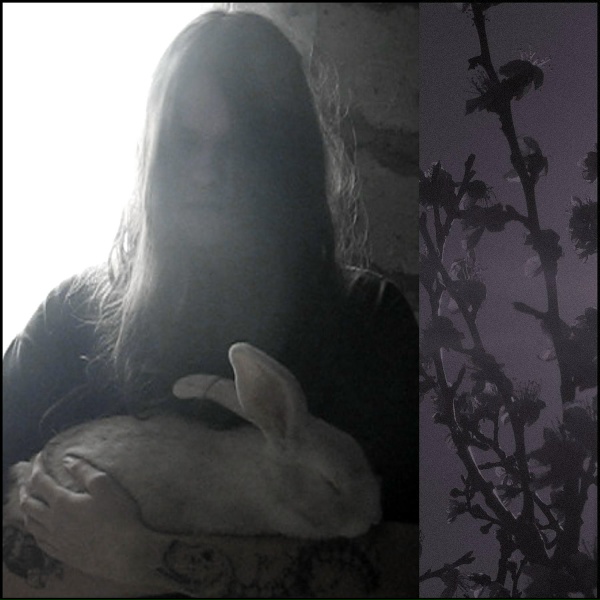 Обложка: wooden lamb - Where I Erode