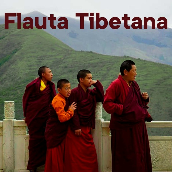 Обложка: Sonidos de Armonía, Schola Camerata - Flauta Tibetana