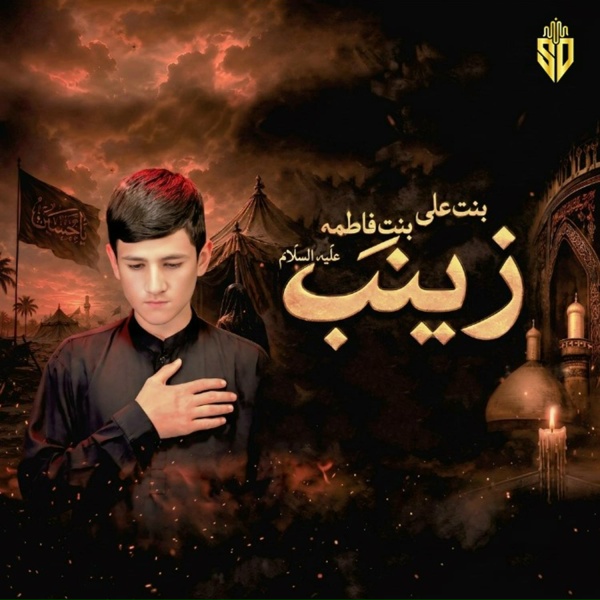Обложка: Ali Shanawar Gilgiti - Bint E Ali Bint E Fatima Zainab