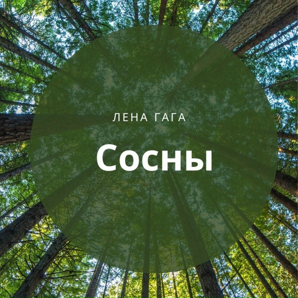 Обложка: Лена ГаГа - Сосны