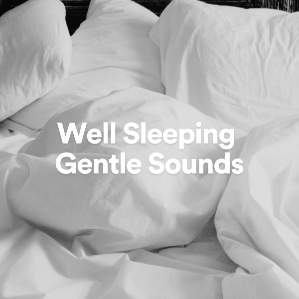 Обложка: Fan Sounds For Sleep - Well Sleeping Gentle Sounds, Pt. 24