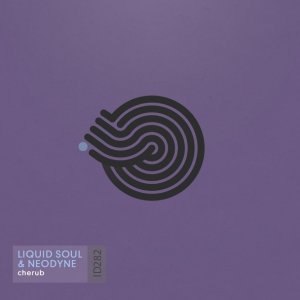 Обложка: Liquid Soul, Neodyne - Cherub