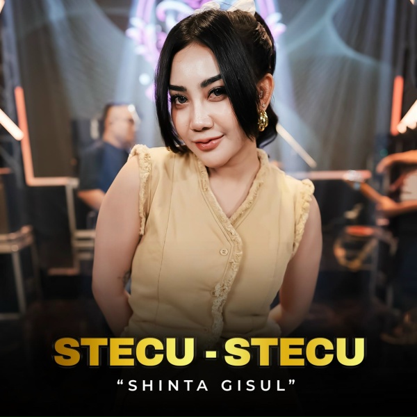 Обложка: Shinta Gisul - Stecu Stecu