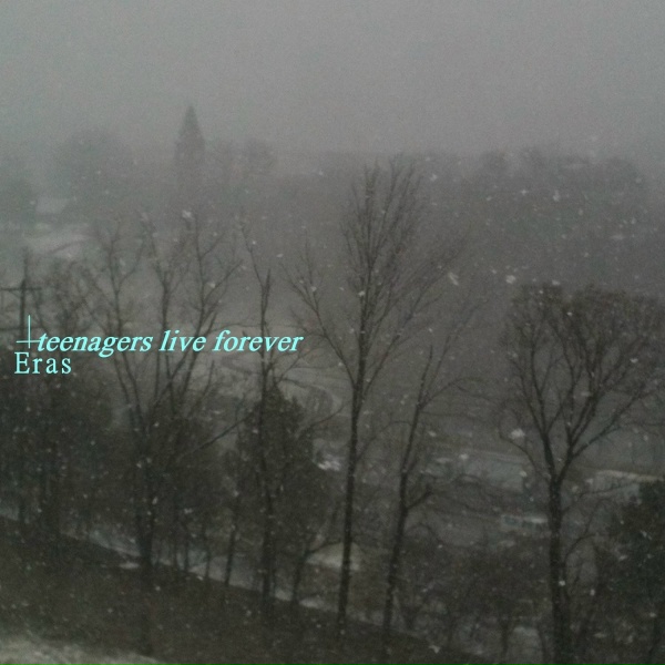 Обложка: Teenagers Live Forever - The Temp