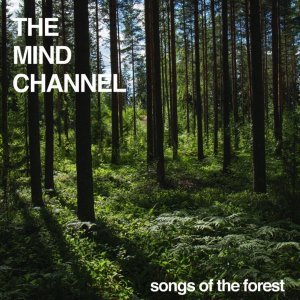 Обложка: The Mind Channel - Across the Field