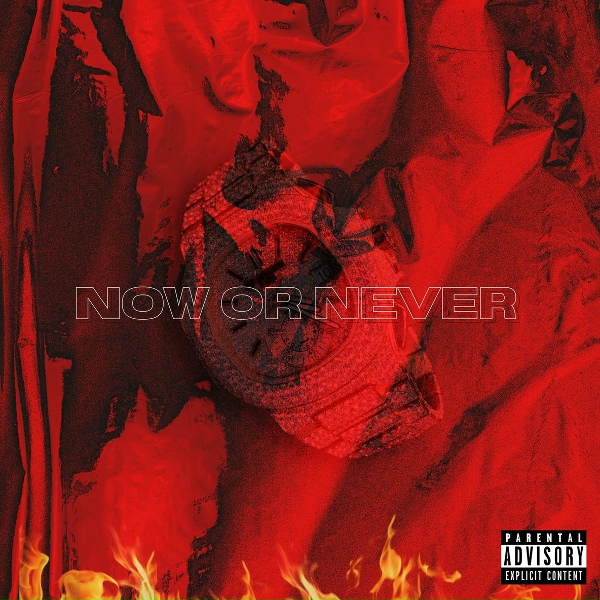 Обложка: Royce Dior - Now or Never
