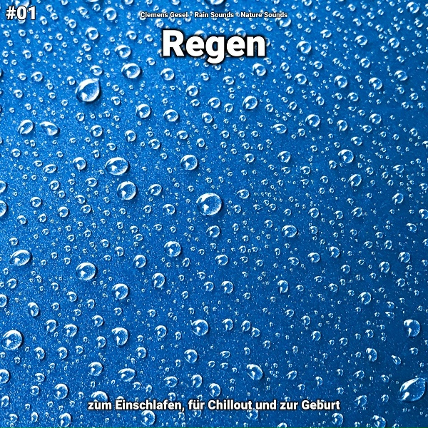 Обложка: Clemens Gesel, Rain Sounds, Nature Sounds - Regen, pt. 37