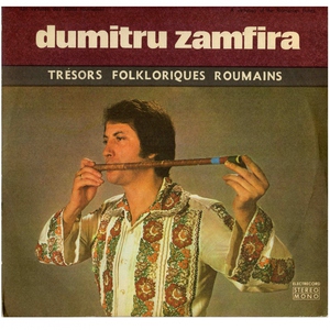 Обложка: Dumitru Zamfira - Alunelul infundat