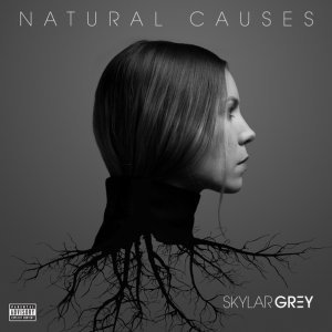 Обложка: Skylar Grey feat. Eminem - Kill For You
