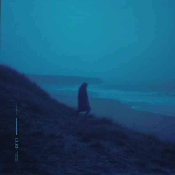 Обложка: insensible - i remember you