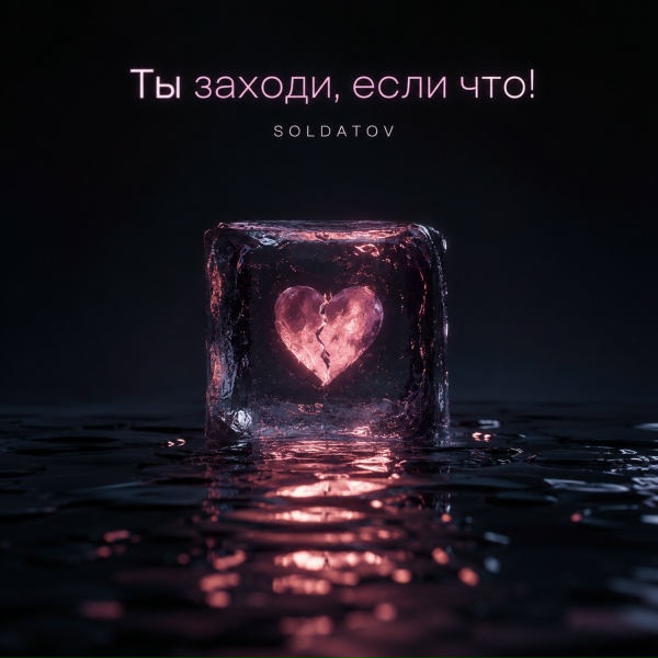 Обложка: Soldatov - Туц туц
