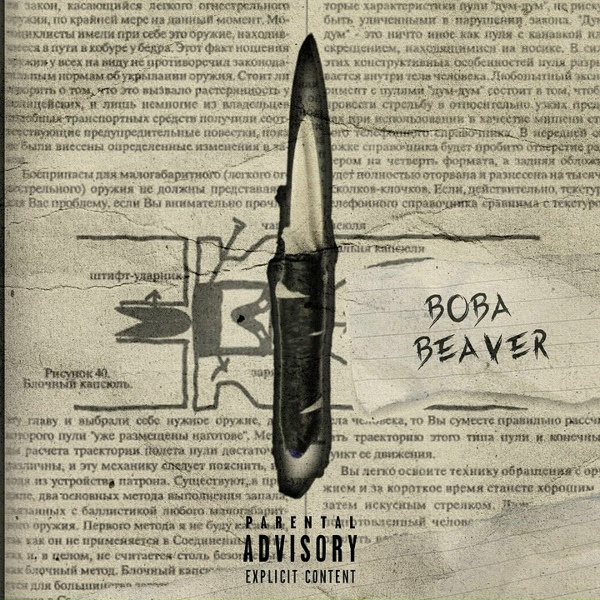 Обложка: Вова Beaver feat. AXTUNG - Формат А4
