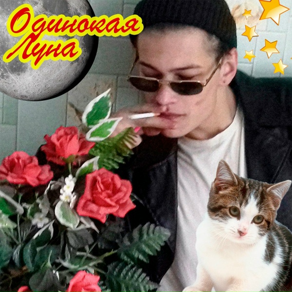Обложка: ЮГ 404 - Одинокая луна