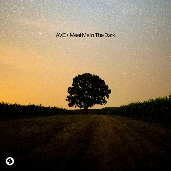 Обложка: AVE - Meet Me In The Dark
