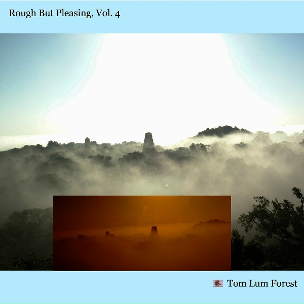 Обложка: Tom Lum Forest - Gimme Shelter/All Along the Watchtower