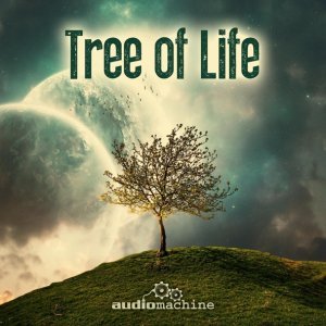 Обложка: Audiomachine - An unfinished life
