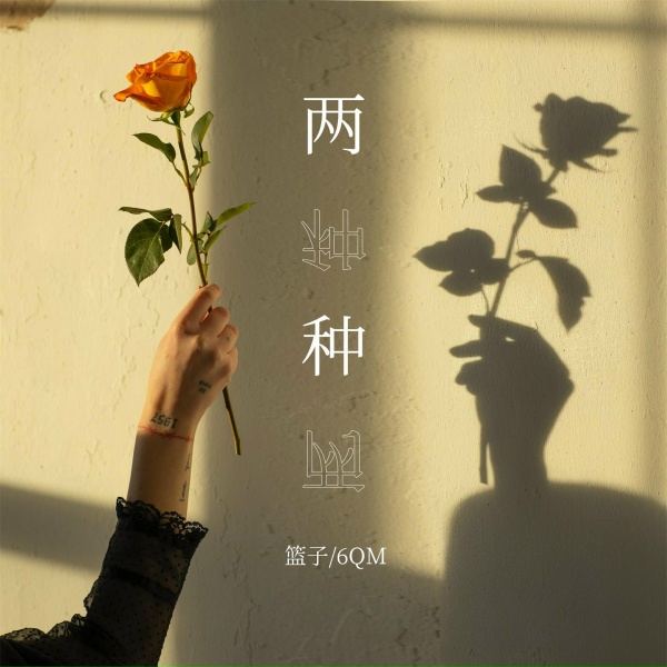 Обложка: 篮子, 6QM - 两种