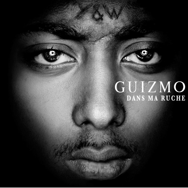 Обложка: Guizmo - Dans ma ruche