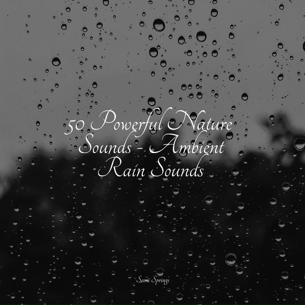 Обложка: Shakuhachi Sakano, Relajantes sonidos de lluvia, calming rainforest sounds - Crashing Ocean Waves