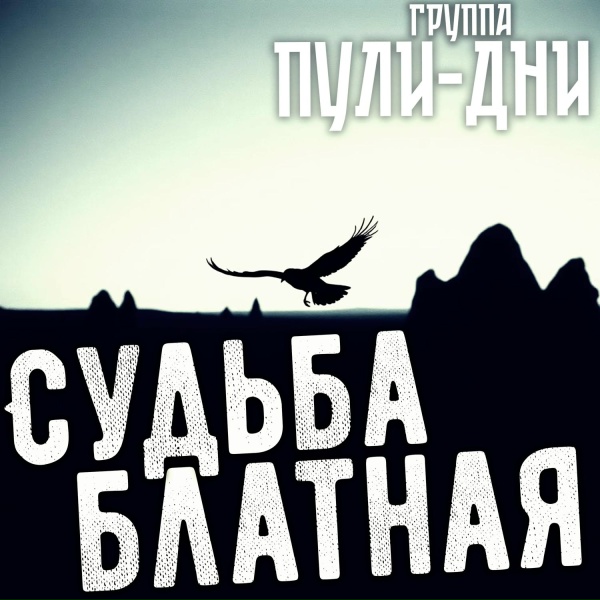 Обложка: Группа Пули-Дни - Костя