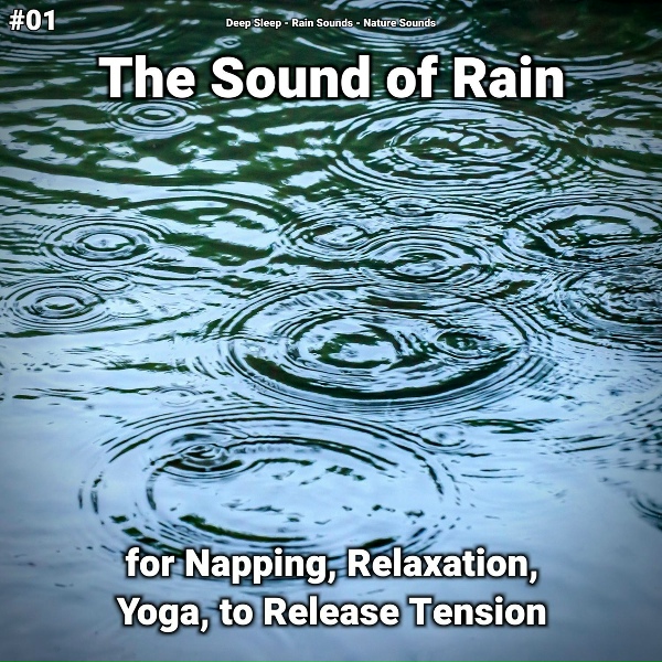 Обложка: Deep Sleep, Rain Sounds, Nature Sounds - Rain Sounds for Tinnitus