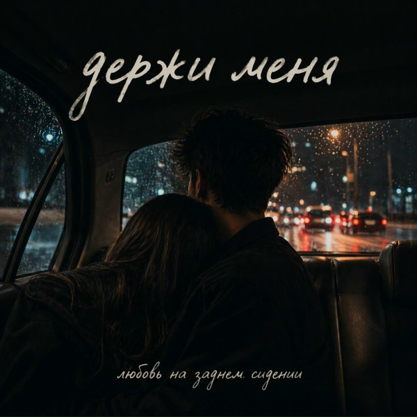 Обложка: Любовь на заднем сидении - держи меня