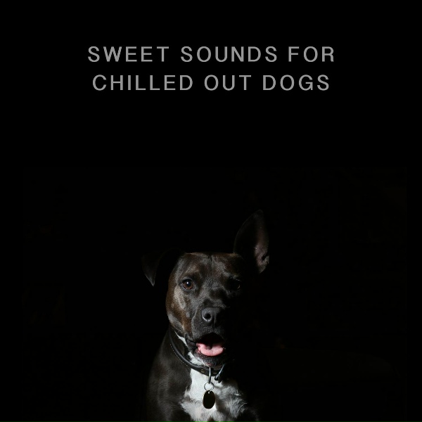 Обложка: Calming Dog Chillout - Relaxing On Their Backs