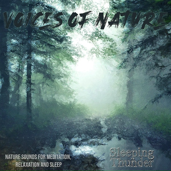 Обложка: Voices of Nature - A Walk with Thunder : From the Viewpoint (Nature Soundscape)