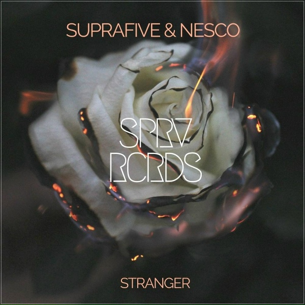 Обложка: Suprafive, Nesco - Stranger