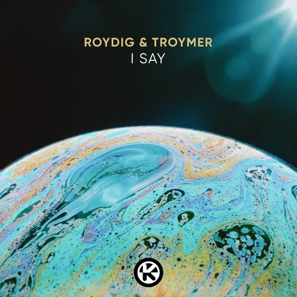 Обложка: ROYDIG, TROYMER - I Say
