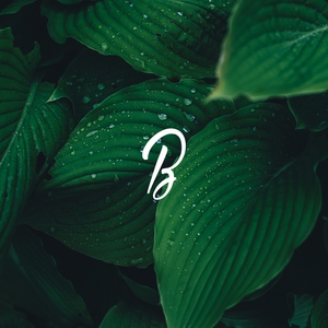 Обложка: Blunted Beatz - Narcotics