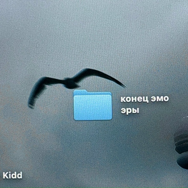 Обложка: Kidd - домой